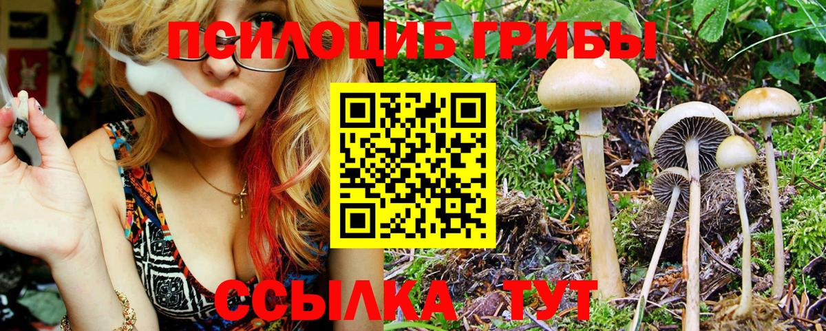 Псилоцибиновые грибы Psilocybine cubensis Соль-Илецк