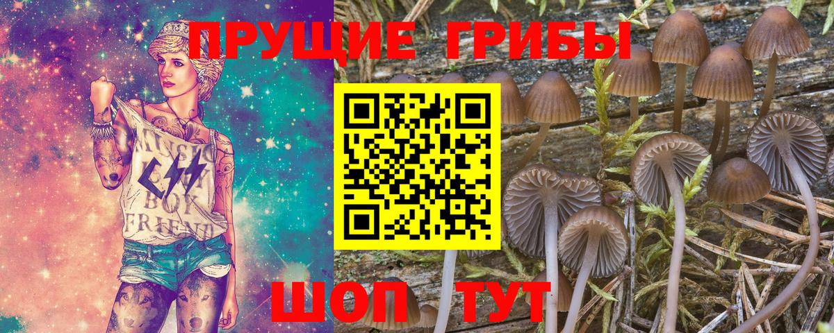 Соль-Илецк  Псилоцибиновые грибы Psilocybe  Вход с VPN  Псилоцибиновые грибы Magic Shrooms 